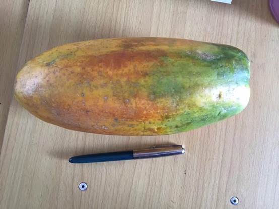 说明: 141_32063_b58f9bc31cb0390