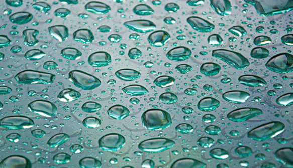 清明未见雨纷纷 科学家：今年深圳或许不会出现