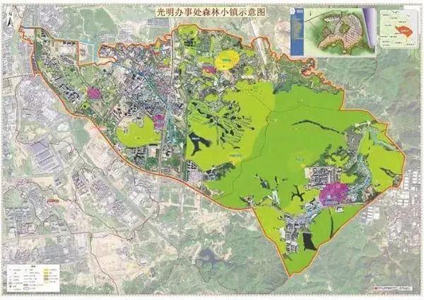 【喜讯】全市唯一!光明森林小镇通过省林业厅