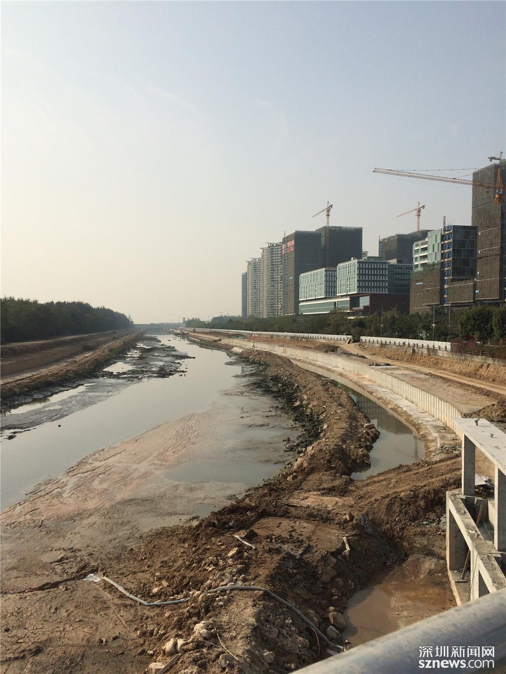 大沙河惊现沙河·尚 深圳版塞纳河有了护水