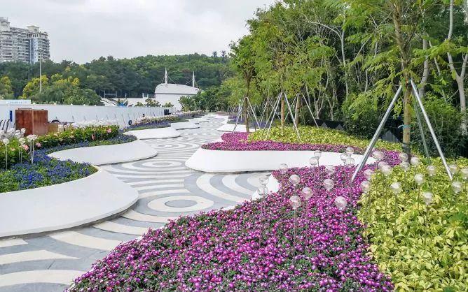 深圳再添6个拍照打卡圣地!高清组图曝光,美到看花眼……