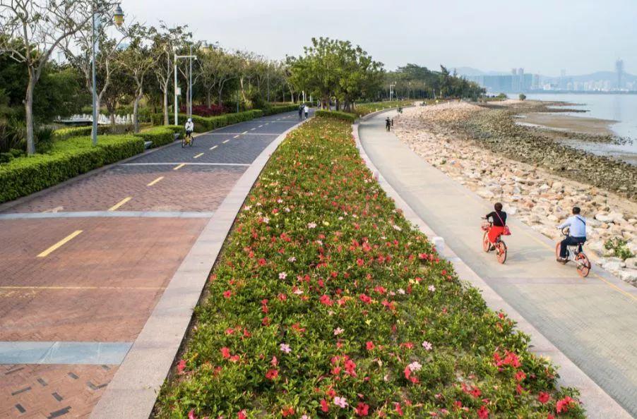 深圳再添6个拍照打卡圣地!高清组图曝光,美到看花眼……