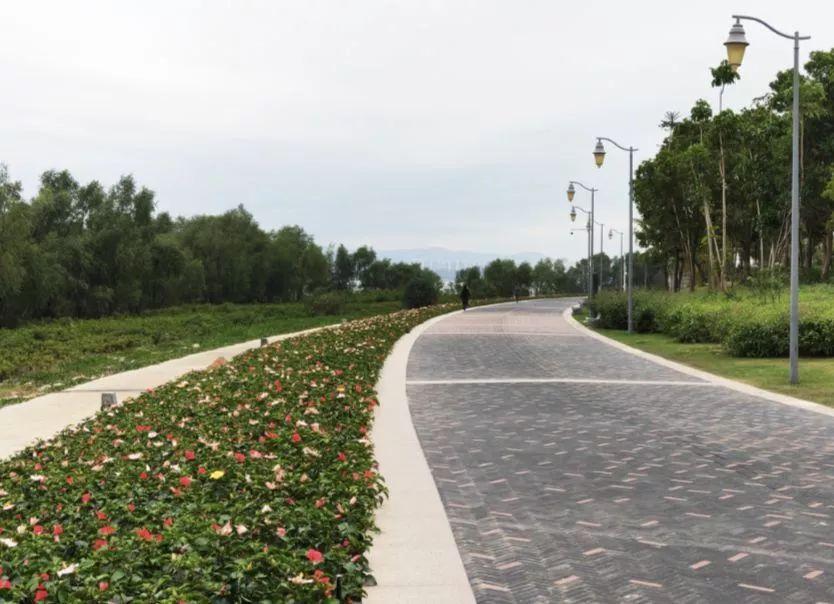 深圳再添6个拍照打卡圣地!高清组图曝光,美到看花眼……