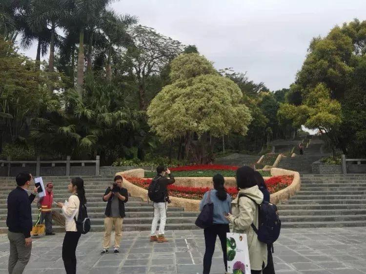 深圳再添6个拍照打卡圣地!高清组图曝光,美到看花眼……