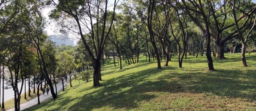 深圳再添6个拍照打卡圣地!高清组图曝光,美到看花眼……