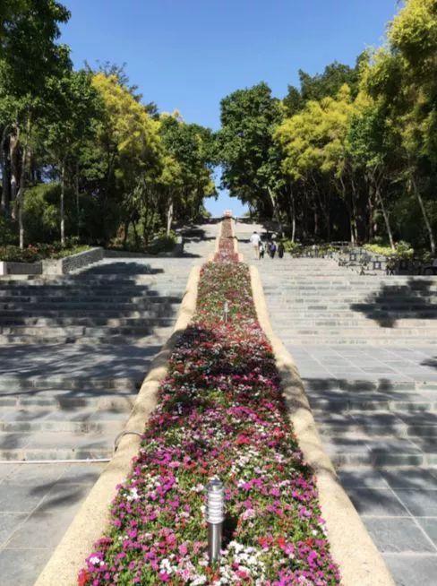 深圳再添6个拍照打卡圣地!高清组图曝光,美到看花眼……