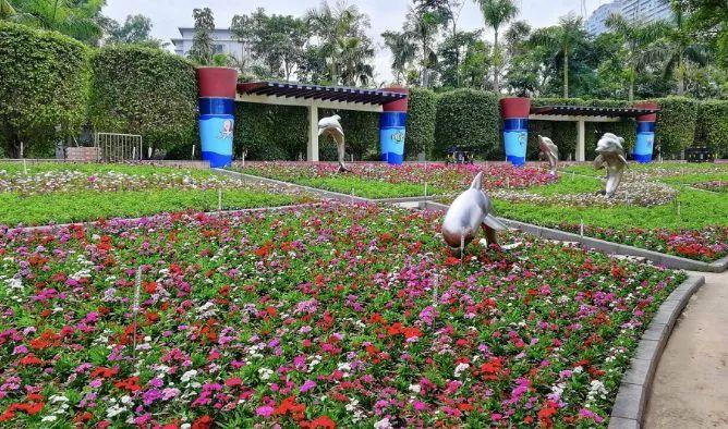 深圳再添6个拍照打卡圣地!高清组图曝光,美到看花眼……