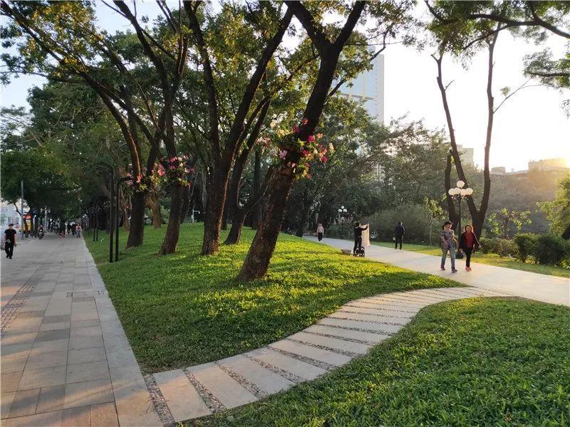 深圳再添6个拍照打卡圣地!高清组图曝光,美到看花眼……