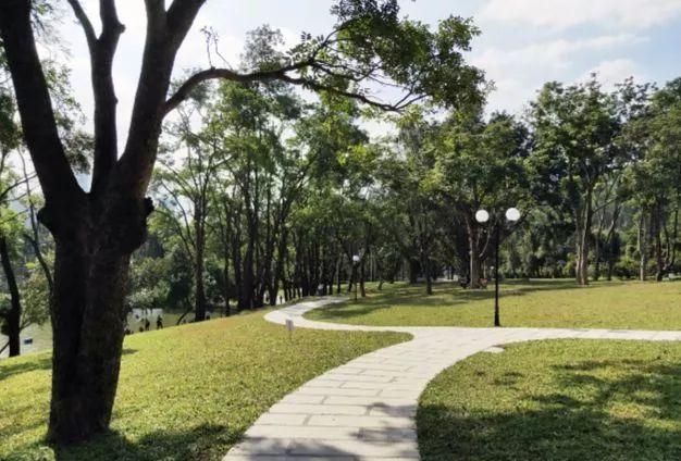 深圳再添6个拍照打卡圣地!高清组图曝光,美到看花眼……