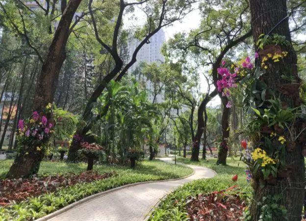 深圳再添6个拍照打卡圣地!高清组图曝光,美到看花眼……