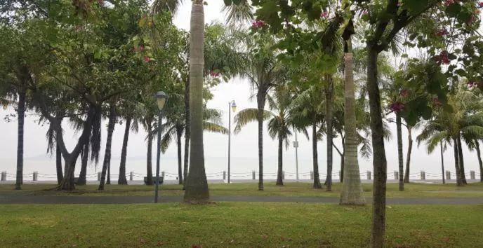 深圳再添6个拍照打卡圣地!高清组图曝光,美到看花眼……