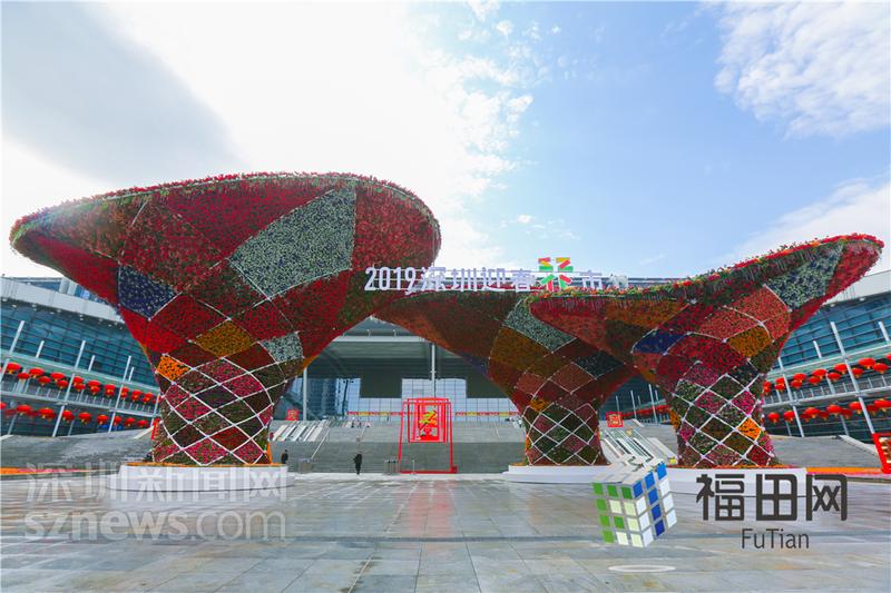 带你来打卡！深圳迎春花市明天开市 花卉价格低于市场价