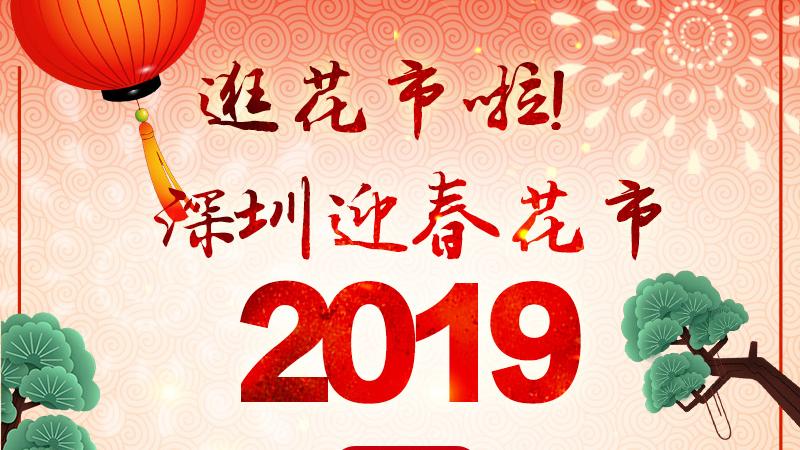 在现场|深网美女记者带你逛花市