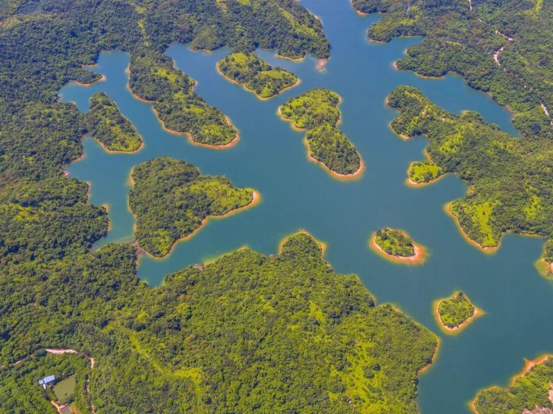 与坝光国际生物谷建设,共绘粤港澳大湾区蓝图