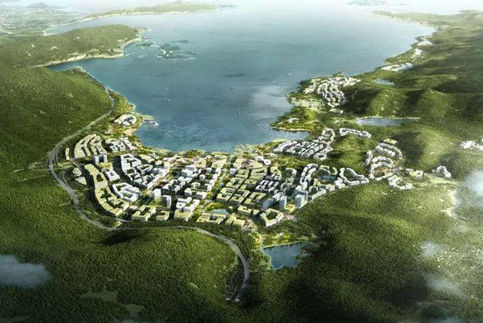 与坝光国际生物谷建设,共绘粤港澳大湾区蓝图