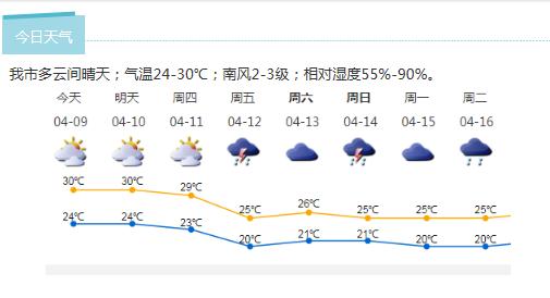 深新早点丨驾考新规出炉，但你听到的版本可能是假的！真相来了，想要预约考试首先要…