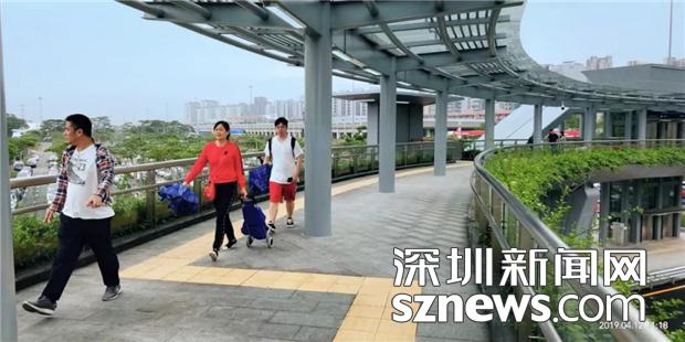 深圳湾口岸人行天桥建成使用 成南山区第一长天桥 设14部电梯_深圳新闻网