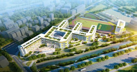 权威公布!民治究竟有多少所学校?最新数据大盘