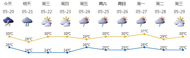 深新早点丨解锁新消息！深圳自然博物馆揭开神秘面纱，就在这里...（语音播报）