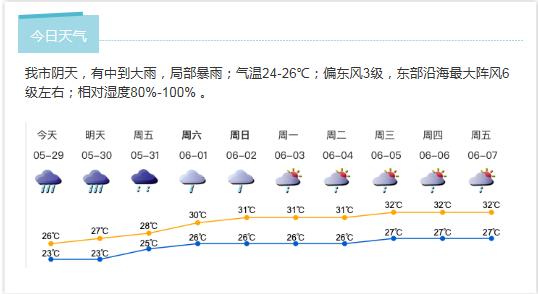 深新早点丨5·29，我爱狗！深圳专设爱犬日，倡导“领养代替购买、文明关爱随行”
