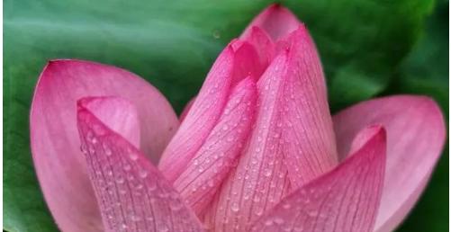 深新早点丨本周五21时，地铁5号线将全线提前结束运营！原因是…(语音播报）