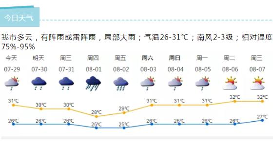 深新早点丨深圳扩大人才引进“秒批”覆盖人群范围，开通个人直接申报渠道！