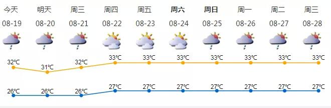 深新早点|全国首个5G智慧公交车队来了！这两条公交线可
