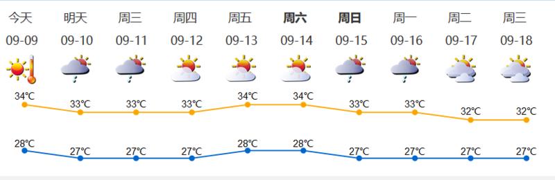 深新早点丨白露胜过三伏，深圳最高气温37℃！闷热天气杀到，黄色高温预警生效中 (语音播报）