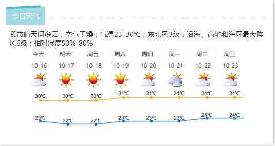 深新早点丨2020年迎春花市地点和时间定了！将于1月18日开启，就在……（语音播报）