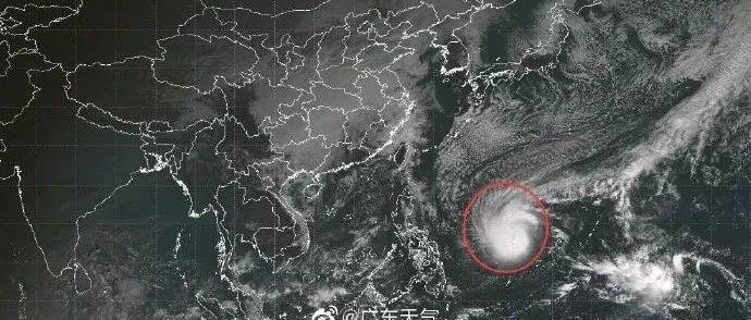 冷空气与台风双重夹击！气温将震荡下行？12月的气温居然是......