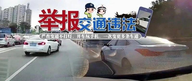 网友举报交通违法，已处罚！这都是谁开的车？曝光了！