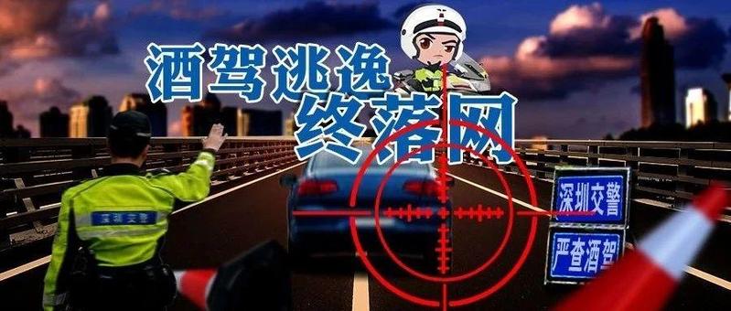 春运至今近百位“醉猫”落网！男子暴力冲卡撞人撞车后逃逸，结果……
