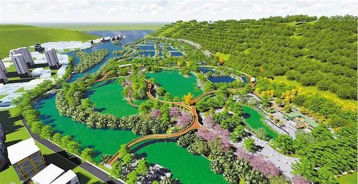 深新早点 | 高中学业水平考试时间定了！7月9日至10日考试（语音播报）