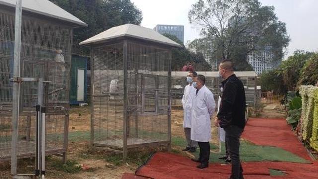 科学防疫，深圳实施最严厉野生动物管控措施