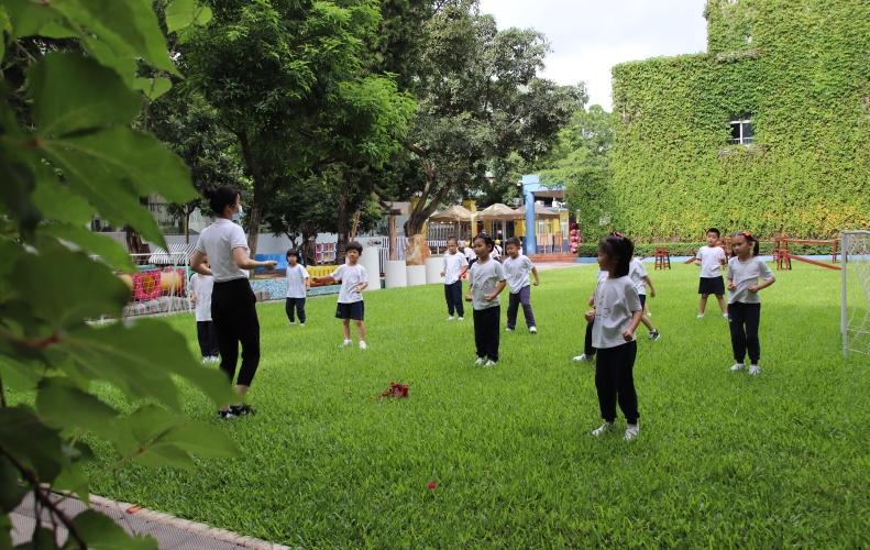 在现场|深圳2020年幼儿园招生政策在线访谈实录