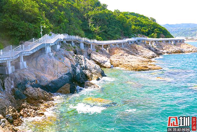 in视频|凭栏临风听涛观海 盐田区这条海滨栈道步步入画