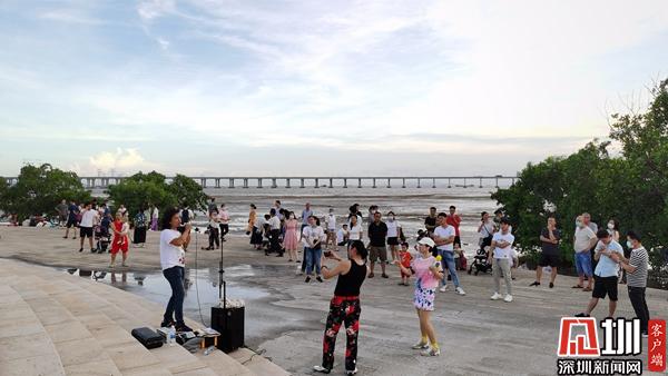 2020年宝安区首场文化“百千万”工程周末音乐会亮相西湾红树林公园