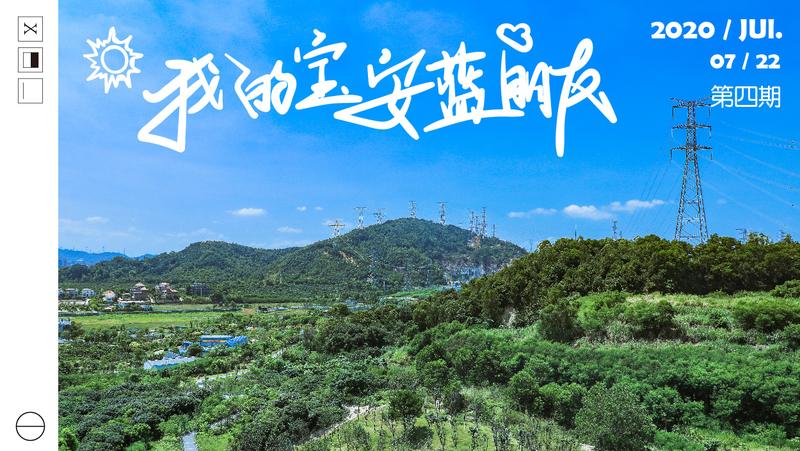 我的宝安蓝朋友 | 蓝天为幕，绿色生长，因为你在，万物可爱