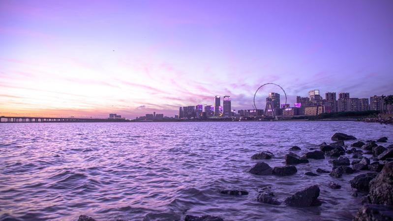 谢谢观影VOL.3|夏夜晚风 紫色的港湾令人治愈