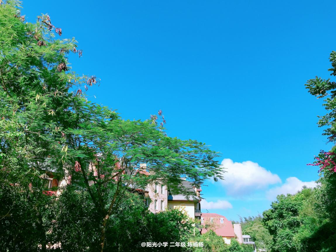 ​【学生风采·第1期】蓝天、白云、阳光、沙滩……身边的风景原来这么美妙！