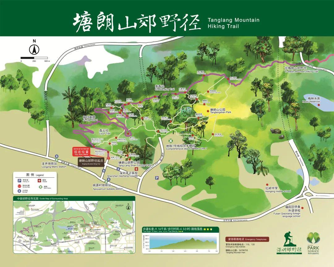 直径为6的半圆面积是多少