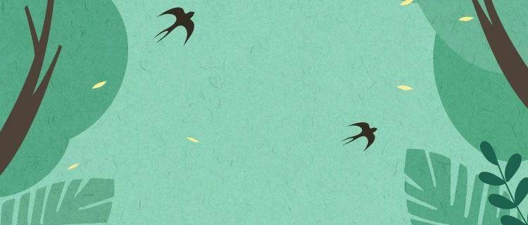 关注｜大芬美术馆义工招募启事