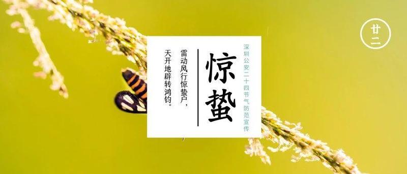 轻轻松松月入5万，这份工作要干吗？
