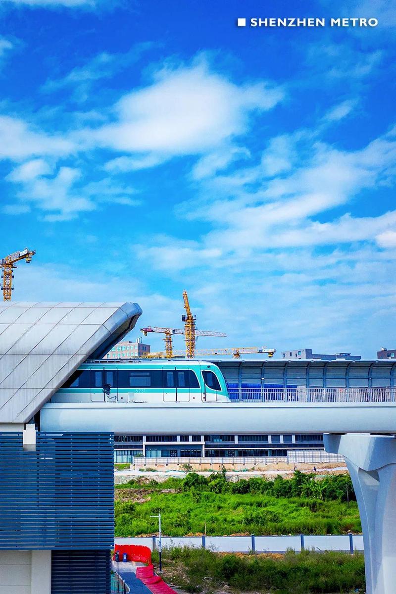 正式出道!深铁集团再添新成员!深圳建材交易集团正式揭牌_深圳新闻网