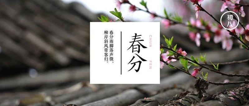 装上这款“神器”，瞬间感觉自己的手机不再普通