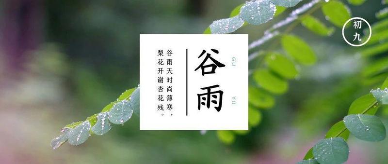 哇喔！办这些事原来不用出门啊……