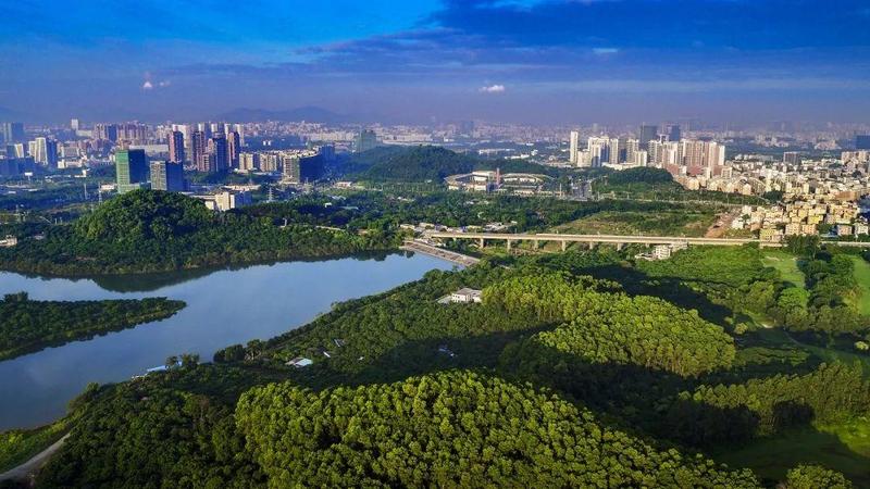 医疗平台怎么测试火了！《新闻联播》刚刚关注了光明区！_https://www.jmylbn.com_新闻资讯_第7张