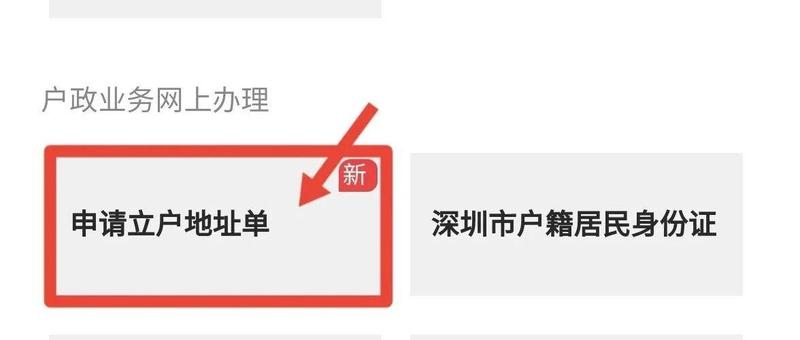 我为群众办实事|申请它无需再前往派出所，网上就可办理！