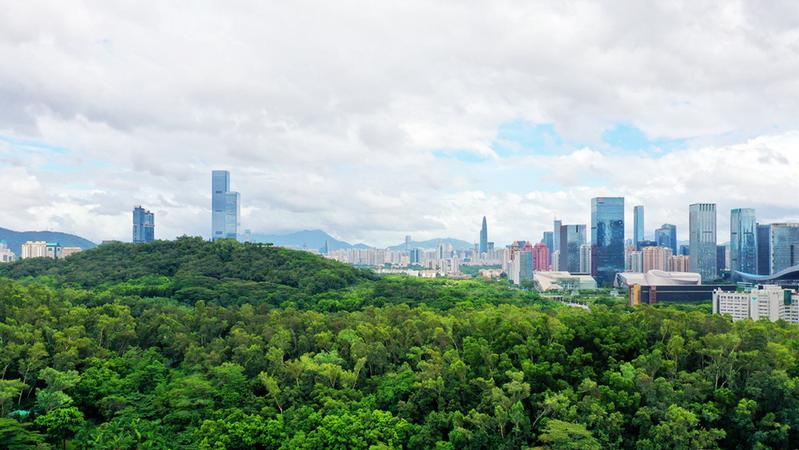 2021年首季经济迎来开门红，深圳发展势头强劲