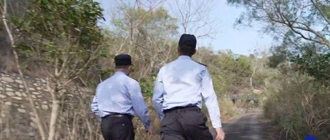 野猪出没的山上，他为何还总要上去？